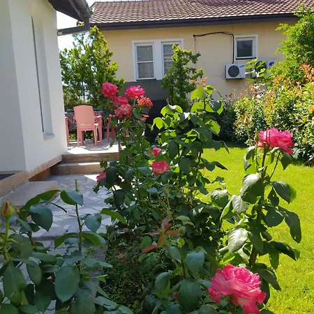 Ivan Apartament *